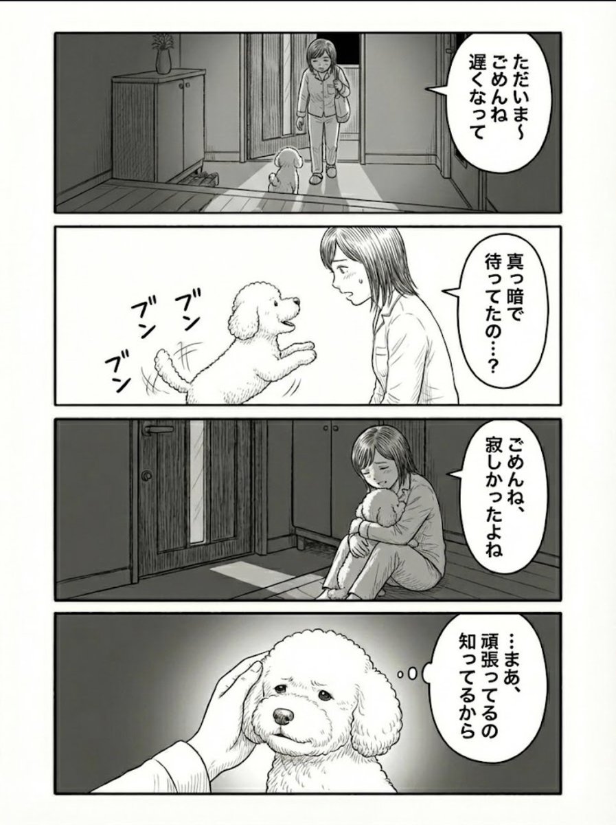 わんわん物語@ワン寿 tweet media