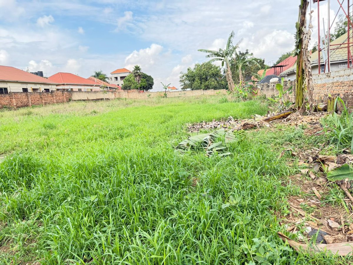 Kampala Property Associates tweet media