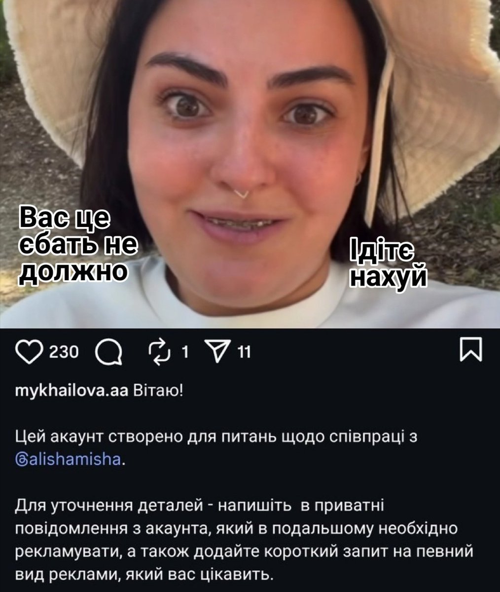 Аферистка Михайлова, яка разом з рейдером Філімоновим вкрала бренд Вовки Давінчі, продає рекламу від себе, як блогер. Хоча за законом, військові не мають права це робити. Аліна не подавала декларацію як депутат міськради з 21 р - невідомо, звідки в неї 3,5 млн грн на 2 мерседеси