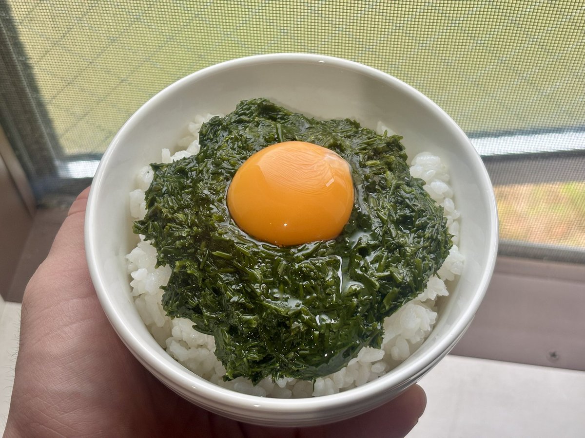 ts0315's tweet photo. ギバサ丼
和田丸さんで購入したアカモク🚢
秋田はアカモクの事をギバサって言うんですよ😊
最高に美味い😋

#和田丸
#湘南ライフ
#ギバサ丼
#アカモク
#三児のパパ https://t.co/UJ2AzMOSMJ