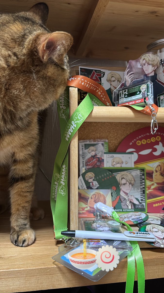 とりあえず…去年のものを、、