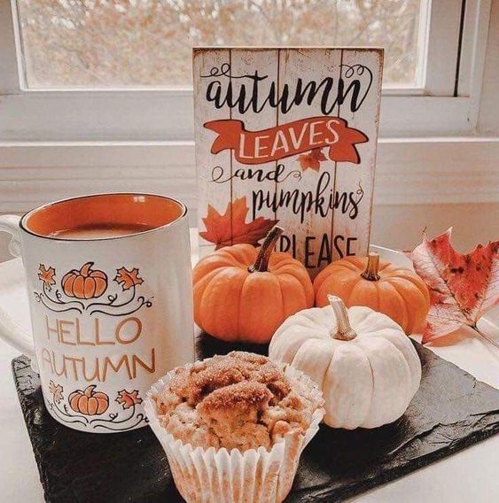 CozyAutumnVibez's tweet image. #PumpkinSpice #PumpkinSpiceSeason #PumpkinSpiceLatte