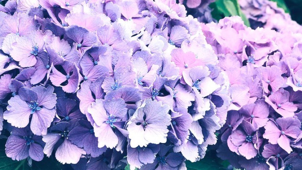 ty57938's tweet photo. https://t.co/C5e6M4btsZ

気になった方お迎えに向かいます🌸

#夢女子さんと繋がりたい 
#他界隈夢女子さんと繋がりたい 
#リボーン夢女子さんと繋がりたい https://t.co/a7fn1Iaswd