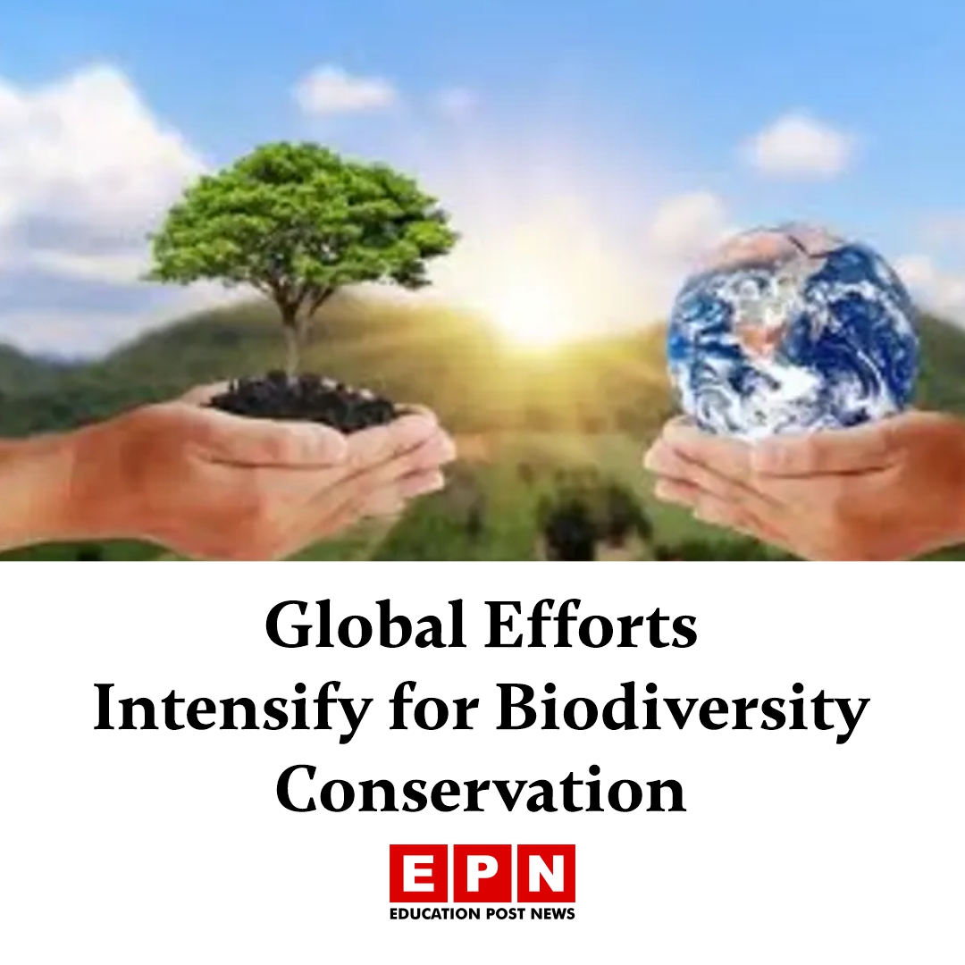 Education_EP's tweet image. Global momentum builds to protect biodiversity through conservation, funding, and international cooperation for a sustainable future.

Details here 🔗 educationpost.in/news/education…

#BiodiversityConservation #ProtectNature #GlobalAction #SustainableDevelopment #ClimateAction