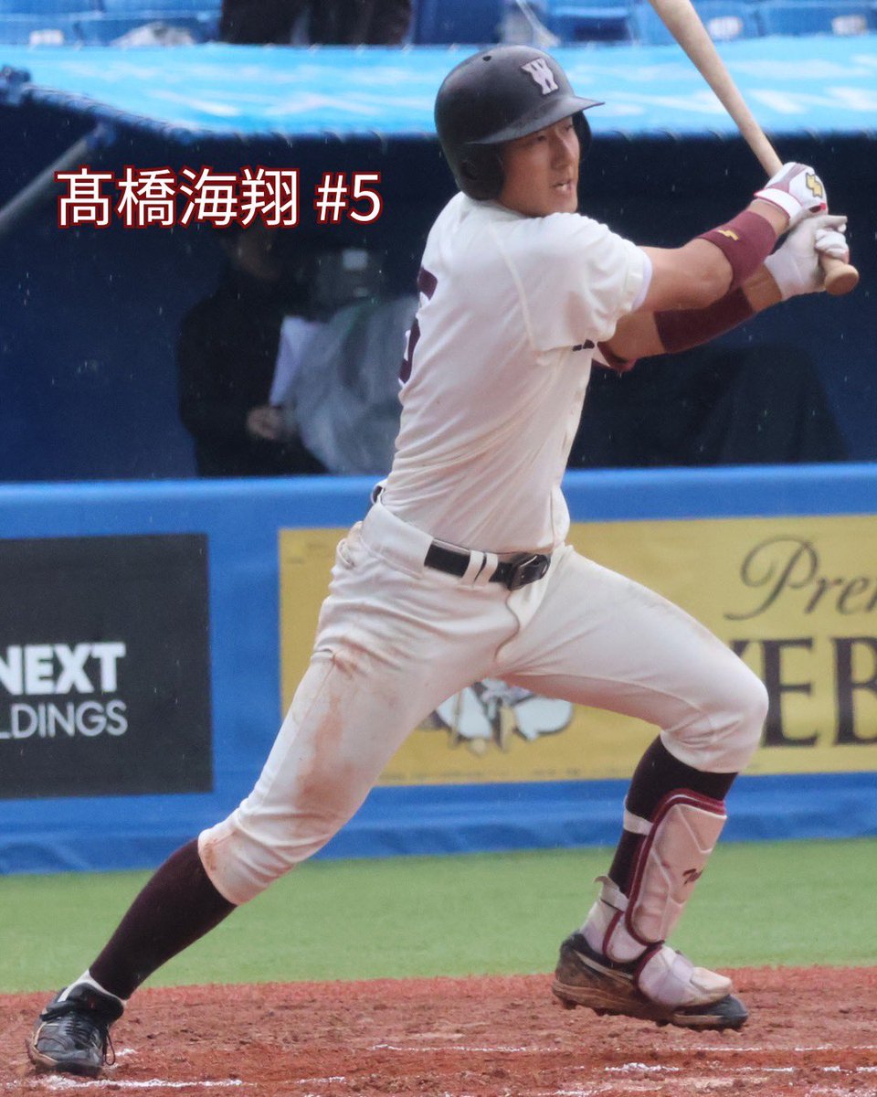 早稲田大学野球部 tweet media