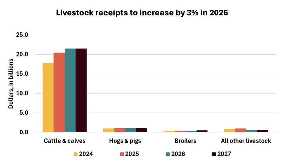 FarmPolicy's tweet image. 1/ Total #Nebraska #livestock #receipts are projected to increase $708 million (3%) to $23.55 billion in 2026 and are projected to remain stable at $23.57 billion in 2027.

From the @RaFFfinance: tinyurl.com/4rywnrve