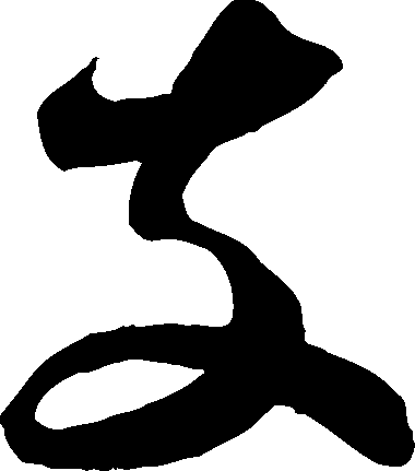 黑熊 tweet media
