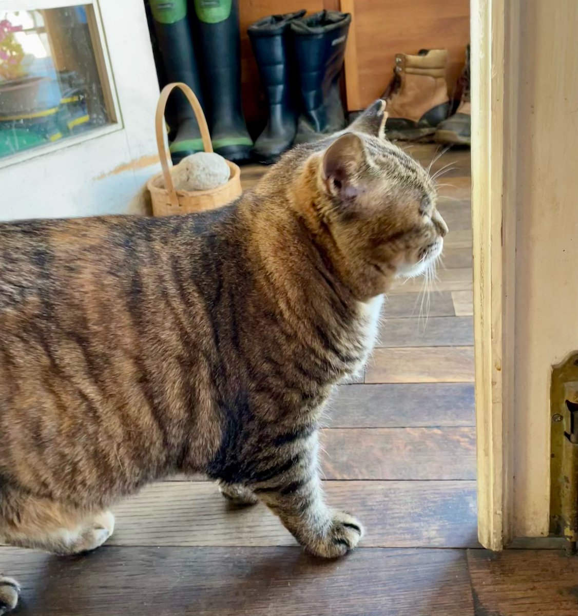 山口 一郎 tweet media