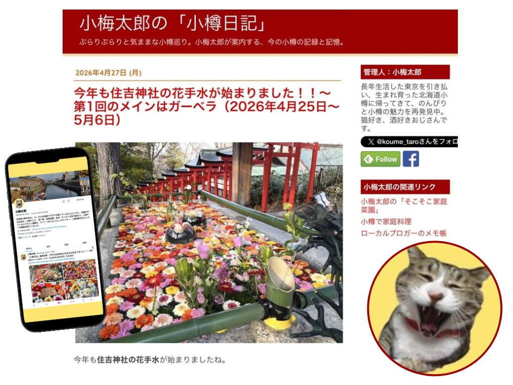 ホープ・ワン tweet media