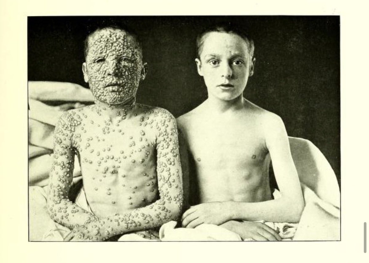 Neil Stone tweet media