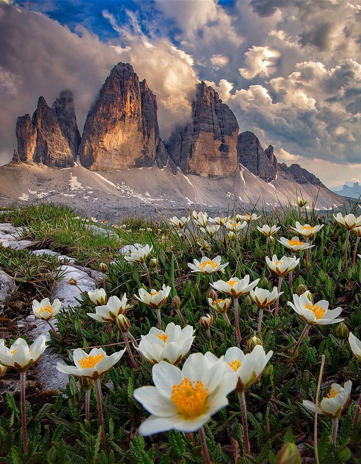 RadioMariaITA's tweet image. #Buongiorno a tutti voi carissimi ascoltatori di #Radio #Maria