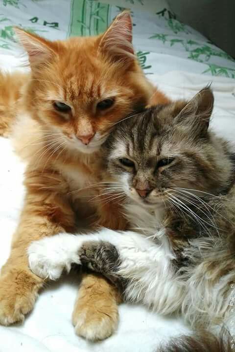 Web3 Flexx.ETH🌐✨ tweet media