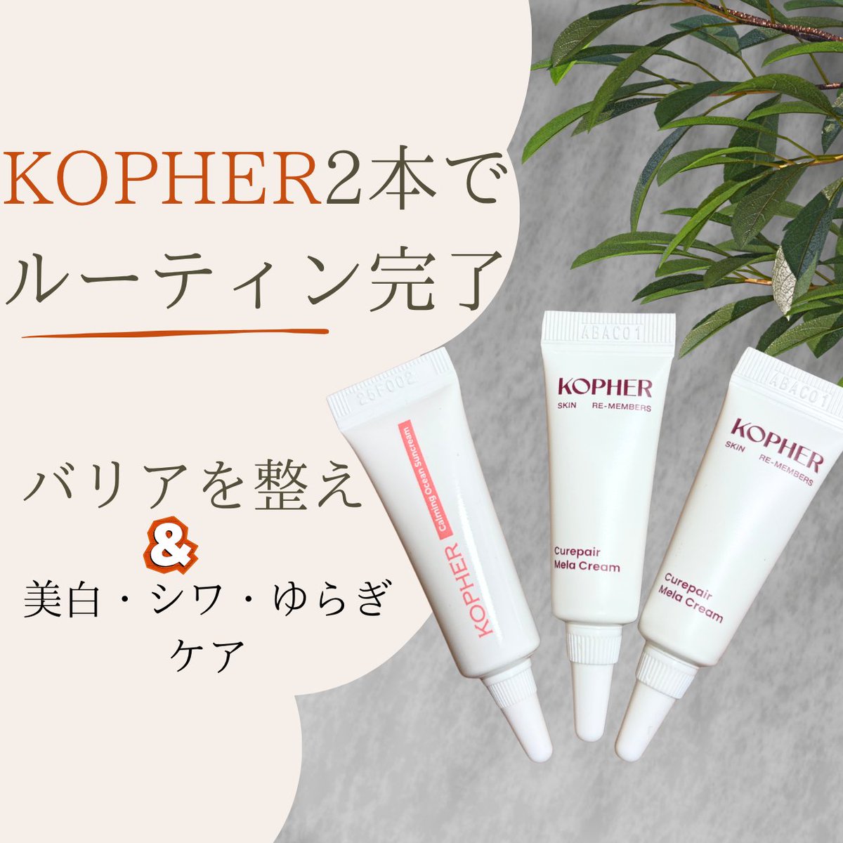 スズ＠美容垢 tweet media