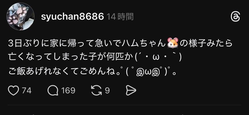 ⚠️危険感知bot tweet media