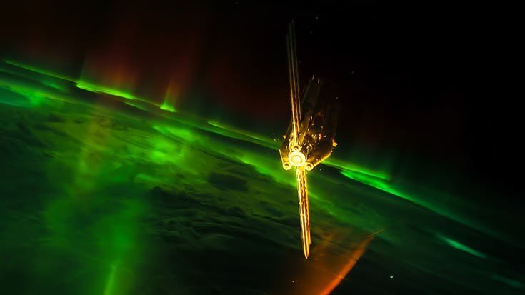 دونـا سعود tweet media