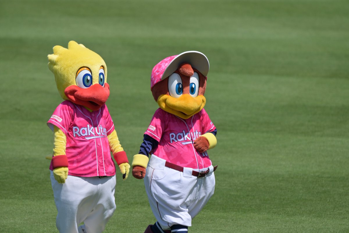 しぶたく tweet media