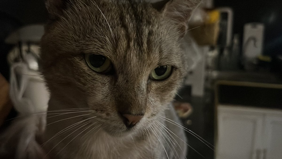 ‎ꫂ᭪݁ tweet media