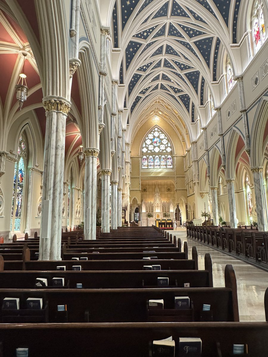 ChuckTownDaily's tweet image. Cathedral of John the Baptist in Charleston, South Carolina 

#churches #cathedral #charleston #charlestondaily