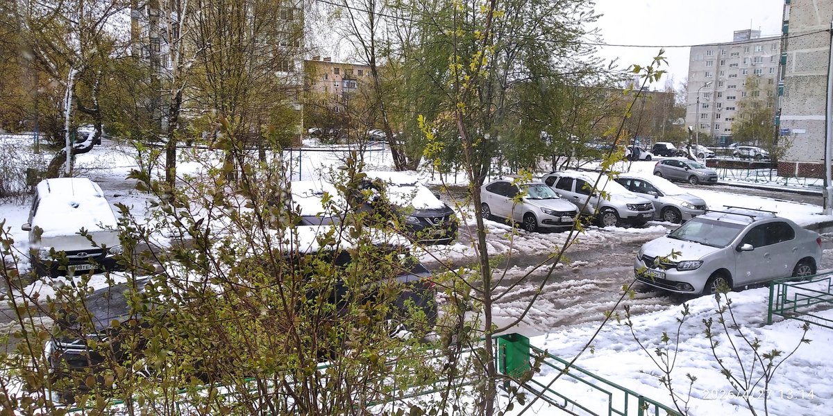 Тень прокуратора tweet media