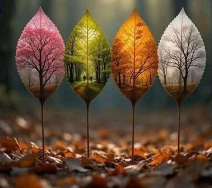 • ؏ــَﺳـݪ |🦋💙⤿ tweet media