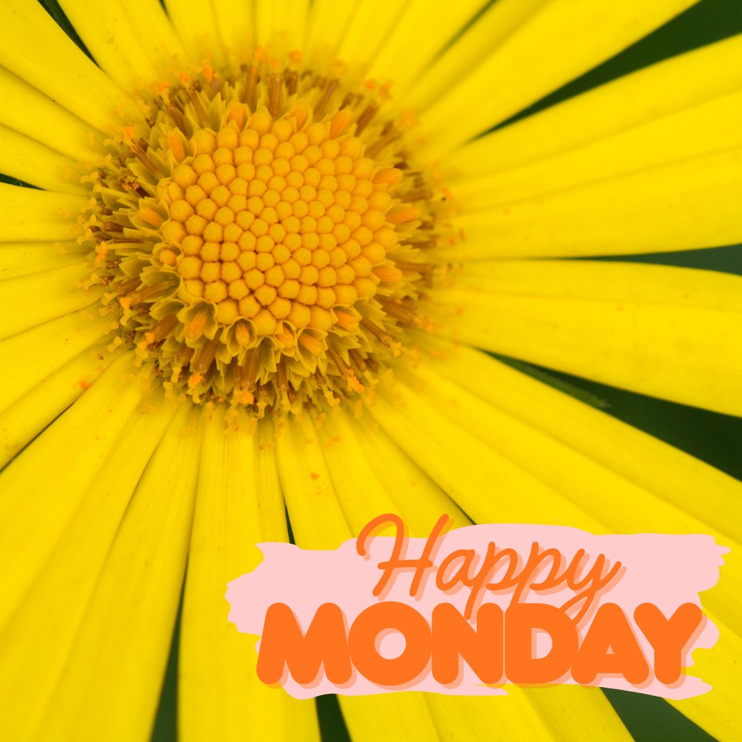 HowardEGlover3's tweet image. "A Monday well spent brings a week of content." - Proverb #HappyMonday #GreatWeek #Progress #Success