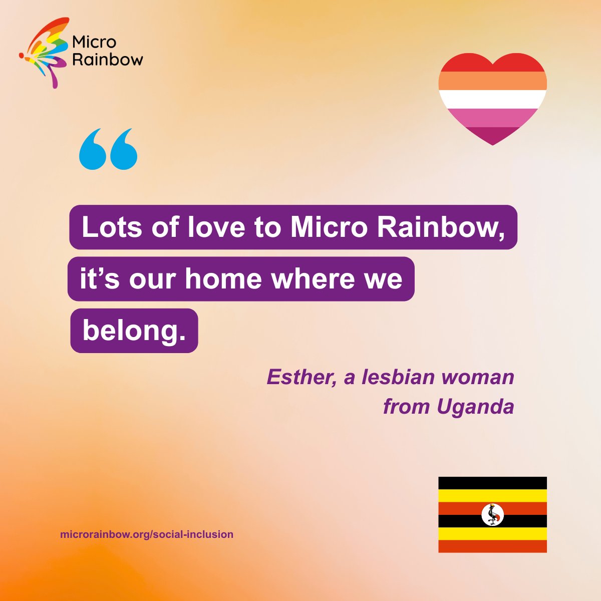 Micro Rainbow tweet media