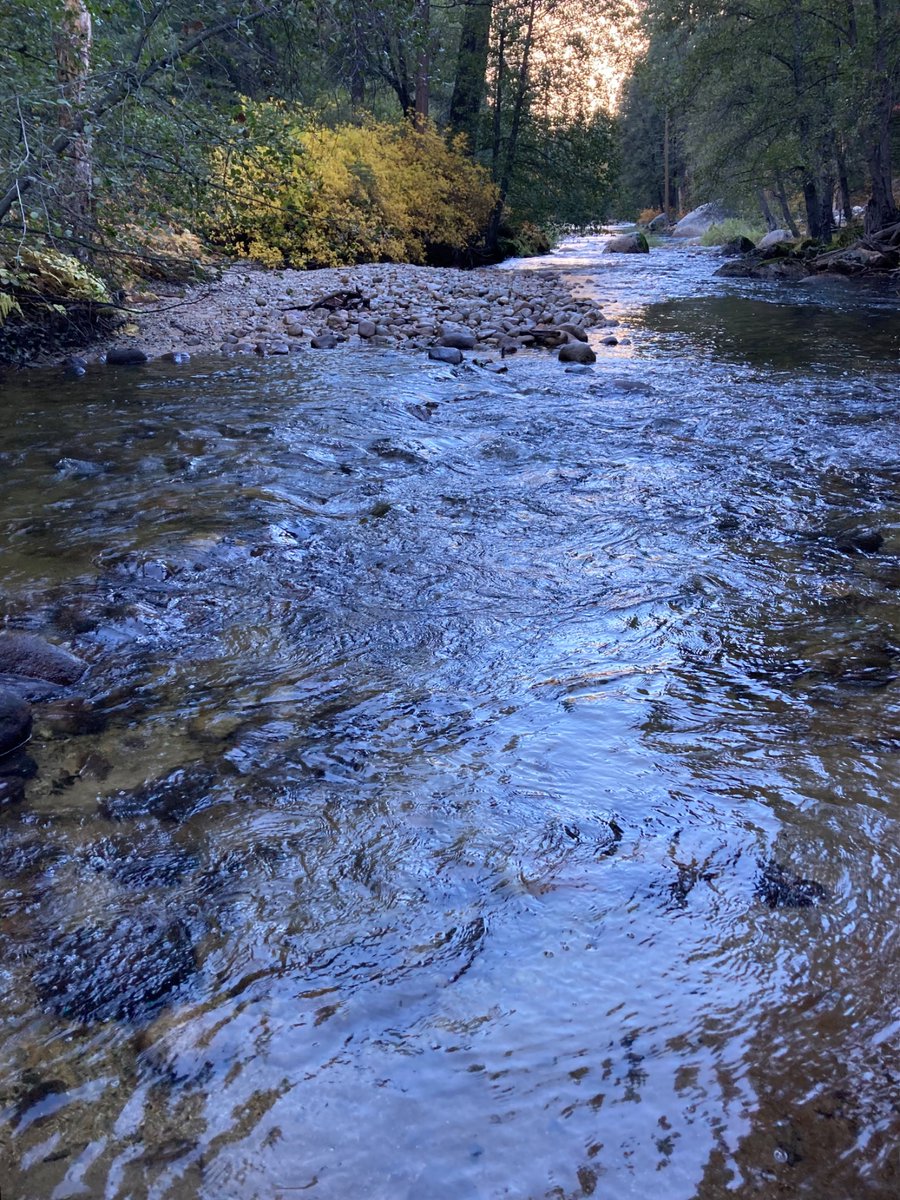 wildcreativity's tweet image. Water
giver of all life
flowing.

#haiku #naturephotography
#Storyin6