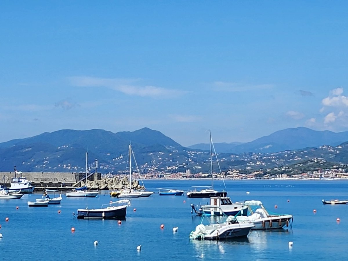 Anna Maria Felappi tweet media