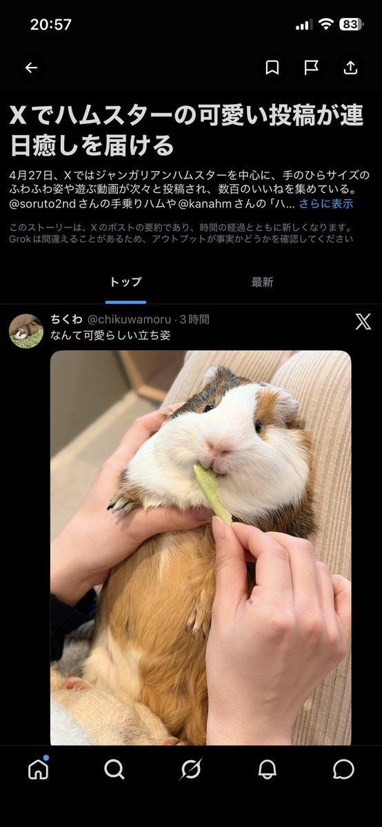 f__bbbbb's tweet photo. もるもっとなのだよ！！！ https://t.co/YcY3pHbk8K