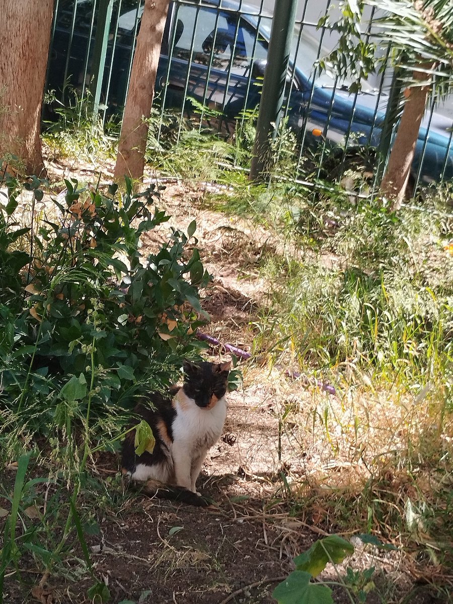 AntonisKostopou's tweet image. ΧΡΩΜΑΤΙΣΤΟΣ ❤️❤️❤️❤️❤️❤️❤️❤️❤️❤️❤️❤️❤️❤️❤️❤️❤️❤️❤️❤️❤️❤️❤️❤️❤️❤️❤️❤️❤️❤️❤️❤️❤️❤️❤️❤️❤️❤️❤️❤️❤️❤️❤️❤️❤️❤️❤️❤️❤️❤️