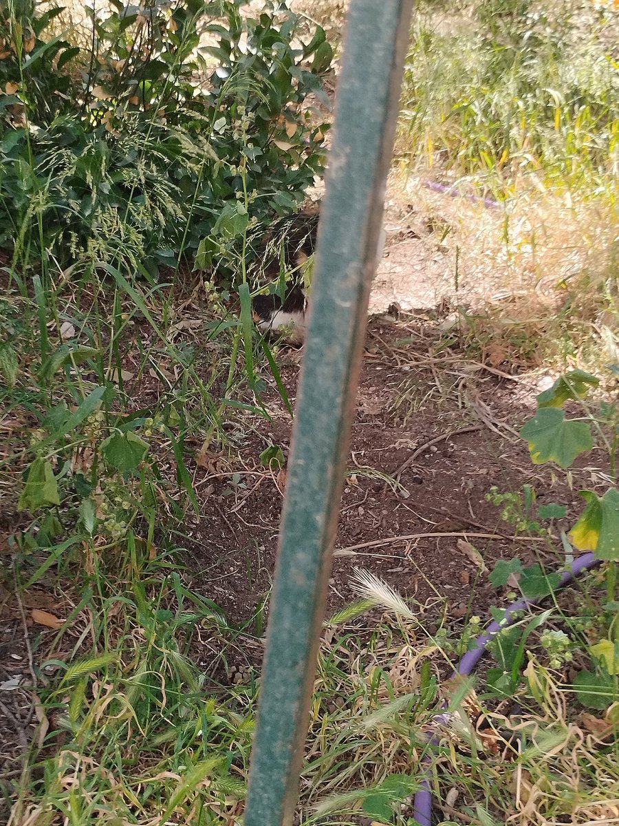 AntonisKostopou's tweet image. ΧΡΩΜΑΤΙΣΤΟΣ ❤️❤️❤️❤️❤️❤️❤️❤️❤️❤️❤️❤️❤️❤️❤️❤️❤️❤️❤️❤️❤️❤️❤️❤️❤️❤️❤️❤️❤️❤️❤️❤️❤️❤️❤️❤️❤️❤️❤️❤️❤️❤️❤️❤️❤️❤️❤️❤️❤️❤️