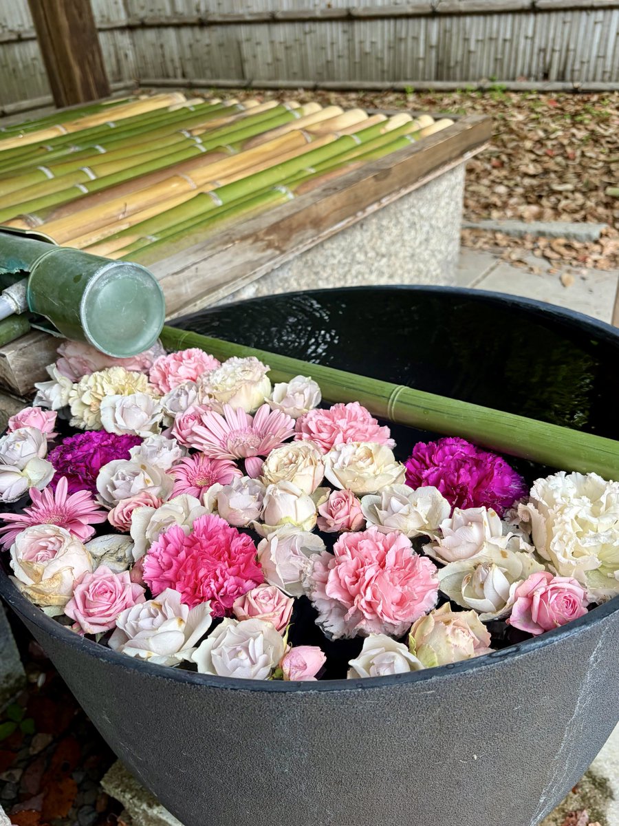 I wonder what happiness is. tweet media