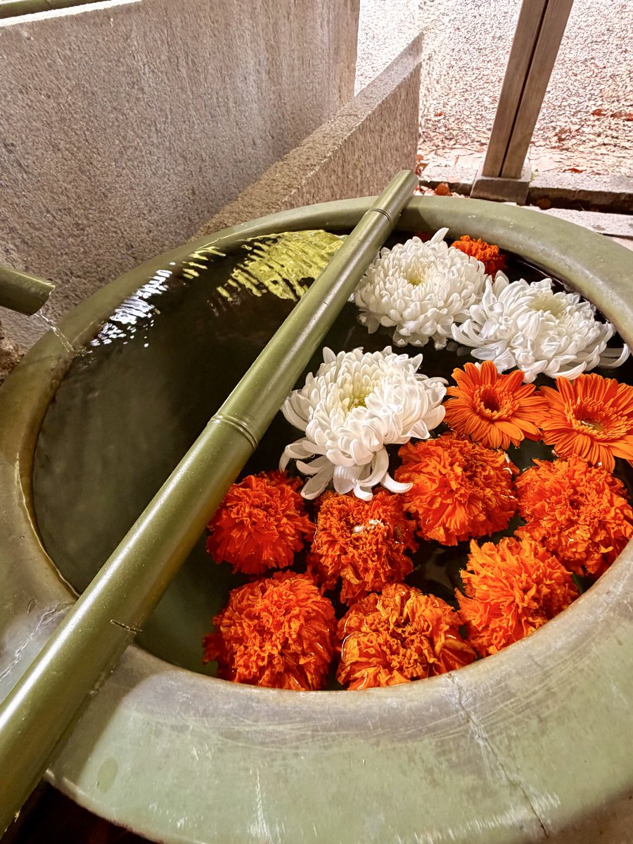 I wonder what happiness is. tweet media