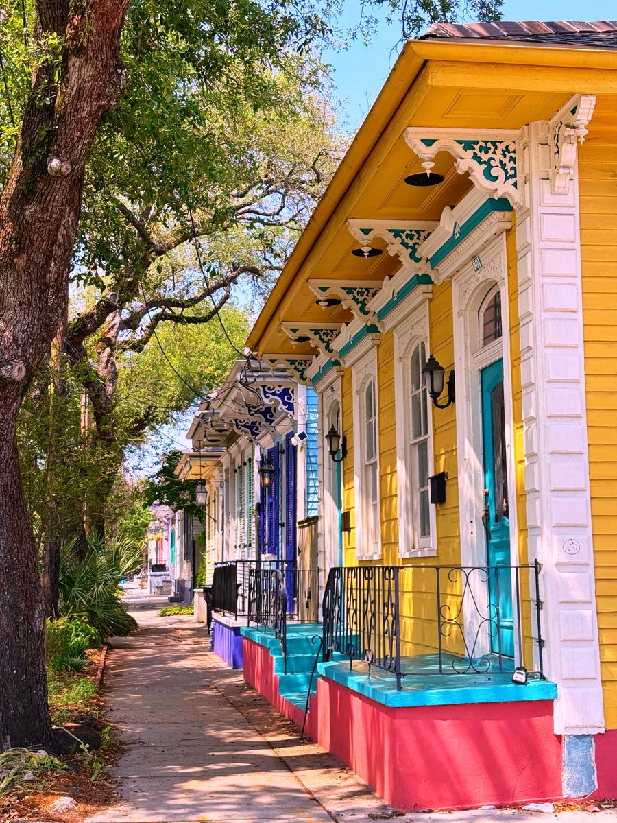 DavidMora's tweet image. …it’s just another Marigny Monday 🎵🎶

#Marigny #NewOrleans