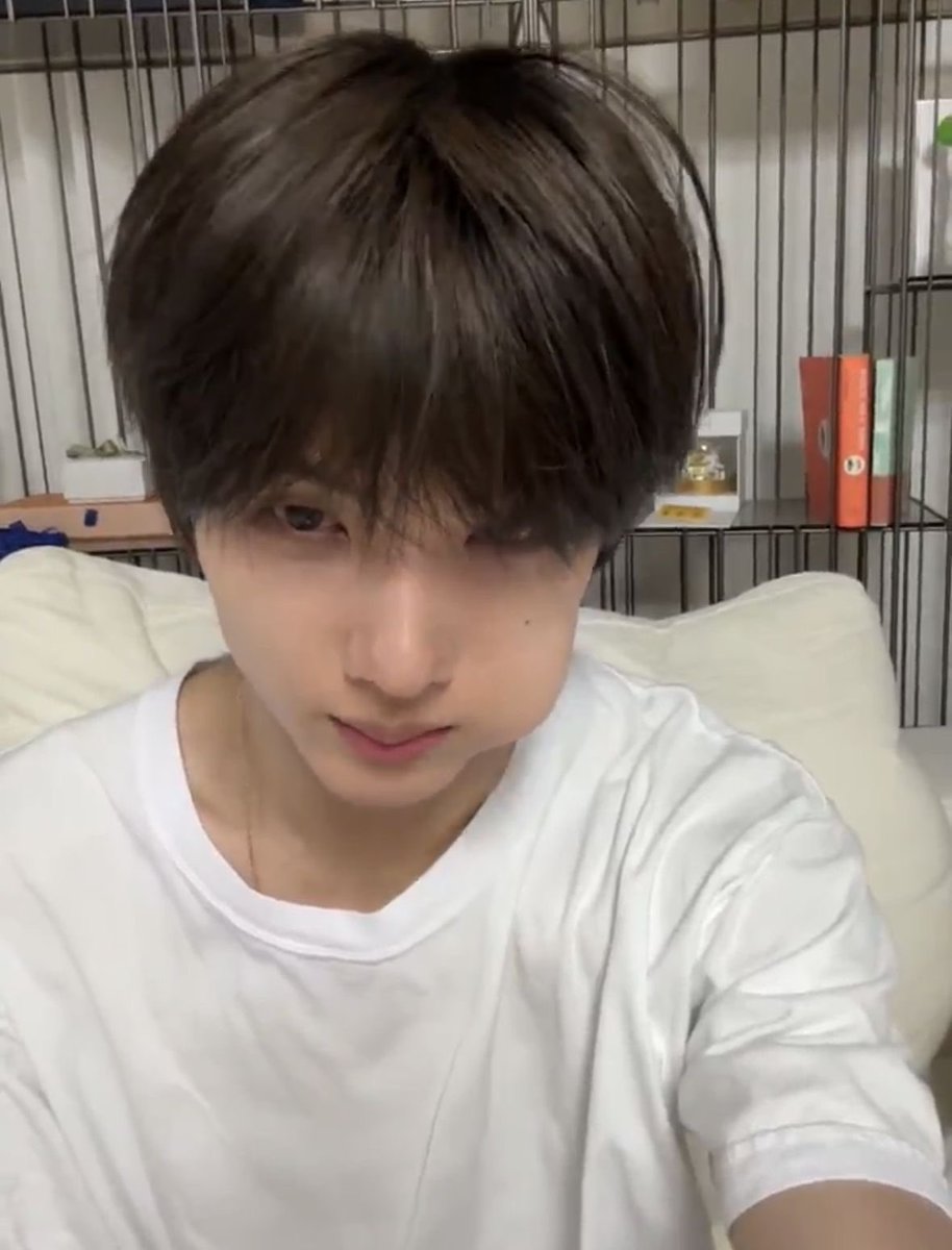 뵤숑 𝜗𝜚 tweet media