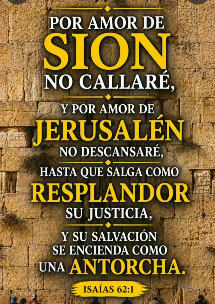 Aldonsa Vargas🙏💙🇩🇴🇮🇱 (@aldonsavargas) on Twitter photo 