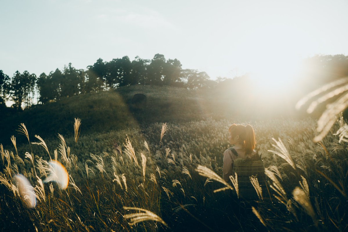 ︎︎ぽん📸 tweet media