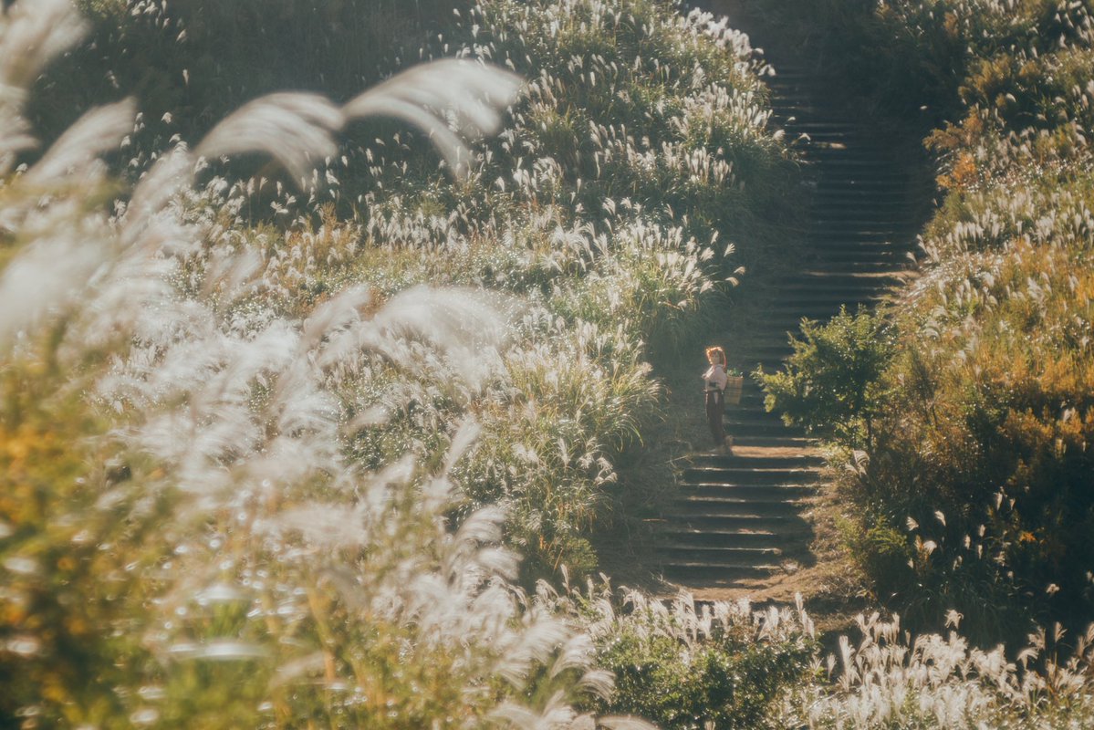 ︎︎ぽん📸 tweet media