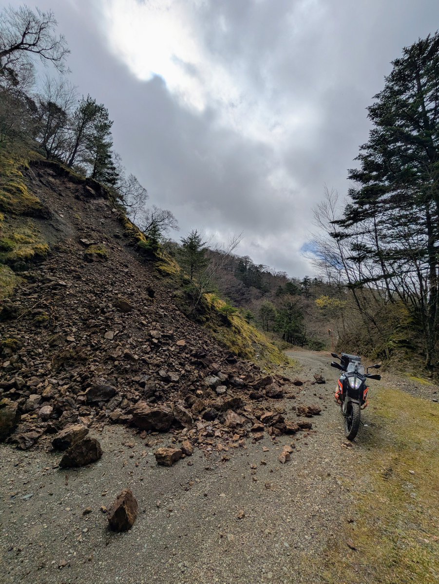 じょり tweet media