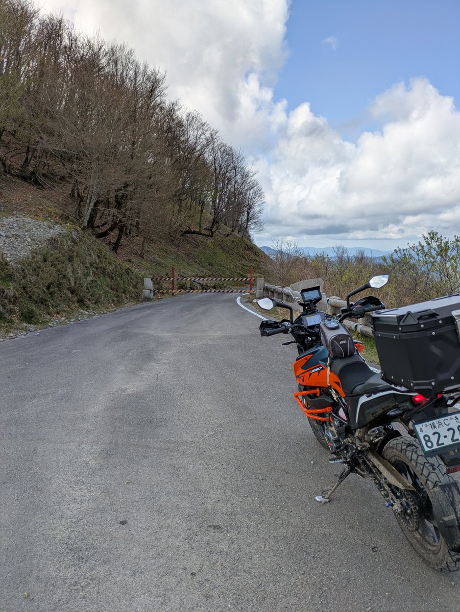 じょり tweet media