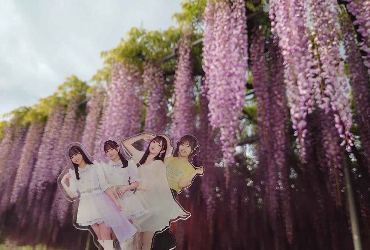 アルティー tweet media