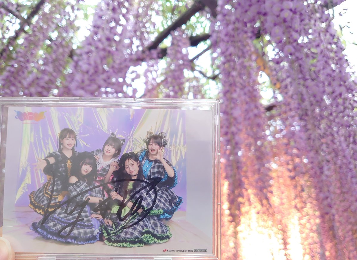 アルティー tweet media