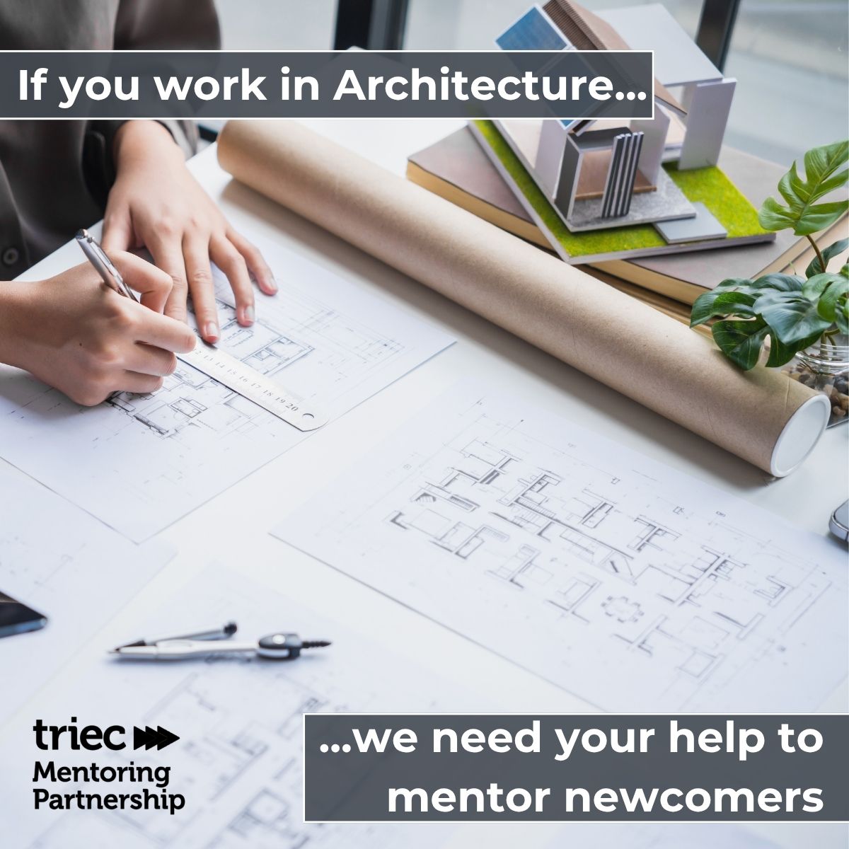 TRIEC's tweet image. Ontario architects: give back and growi your career. Join TRIEC Mentoring Partnership to support skilled newcomers, build leadership skills, and expand your network. Make an impact: visit mentoringpartnership.ca
 
#TRIEC #Mentorship #CareerGrowth #architecture #architecturedesign