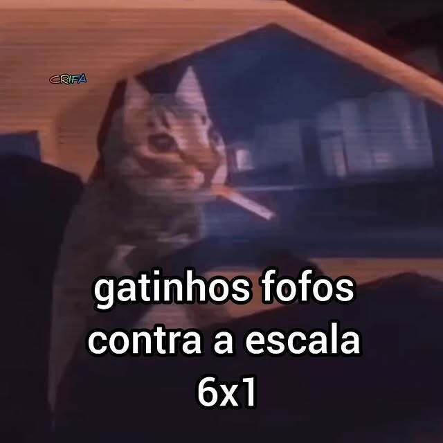 Neminha 🦇⚰️💀👻🏳️‍🌈 tweet media
