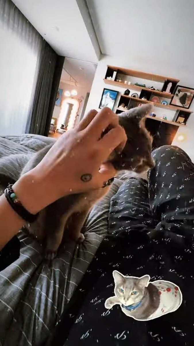 불뚝🕶 tweet media