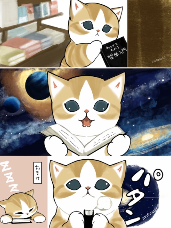 ぢゅの🐈 tweet media