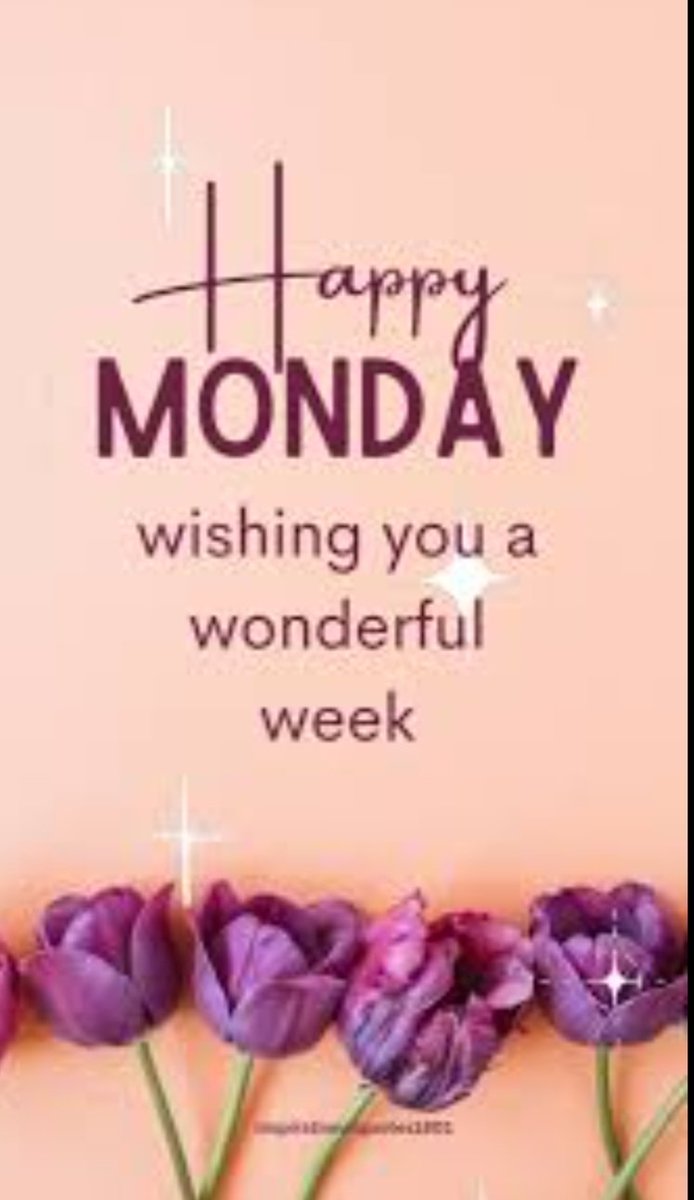 BabeIntheBar's tweet image. Goooood morning everyone!!!!  It's the beginning of the work week for me and I'm already feeling the Monday blues.   Getting up and starting my steps while drinking my coffee before heading out...... Have a BS free day guys!!  And may the force be with you 😁🤣✨

#start #grind