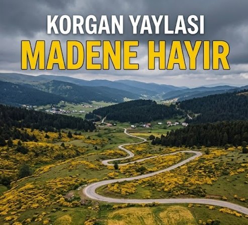 Ordu Albüm tweet media