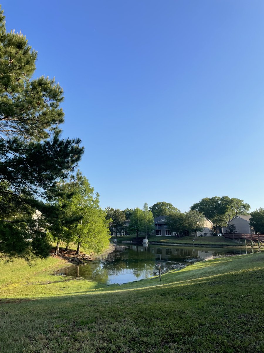 SonRoseSon's tweet image. #Good  #Morning #America 🌈🌈🌈