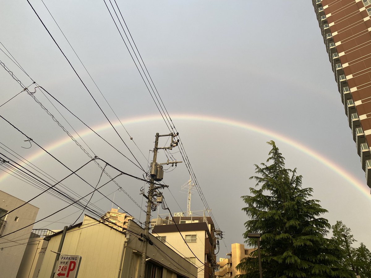 天然サイケ